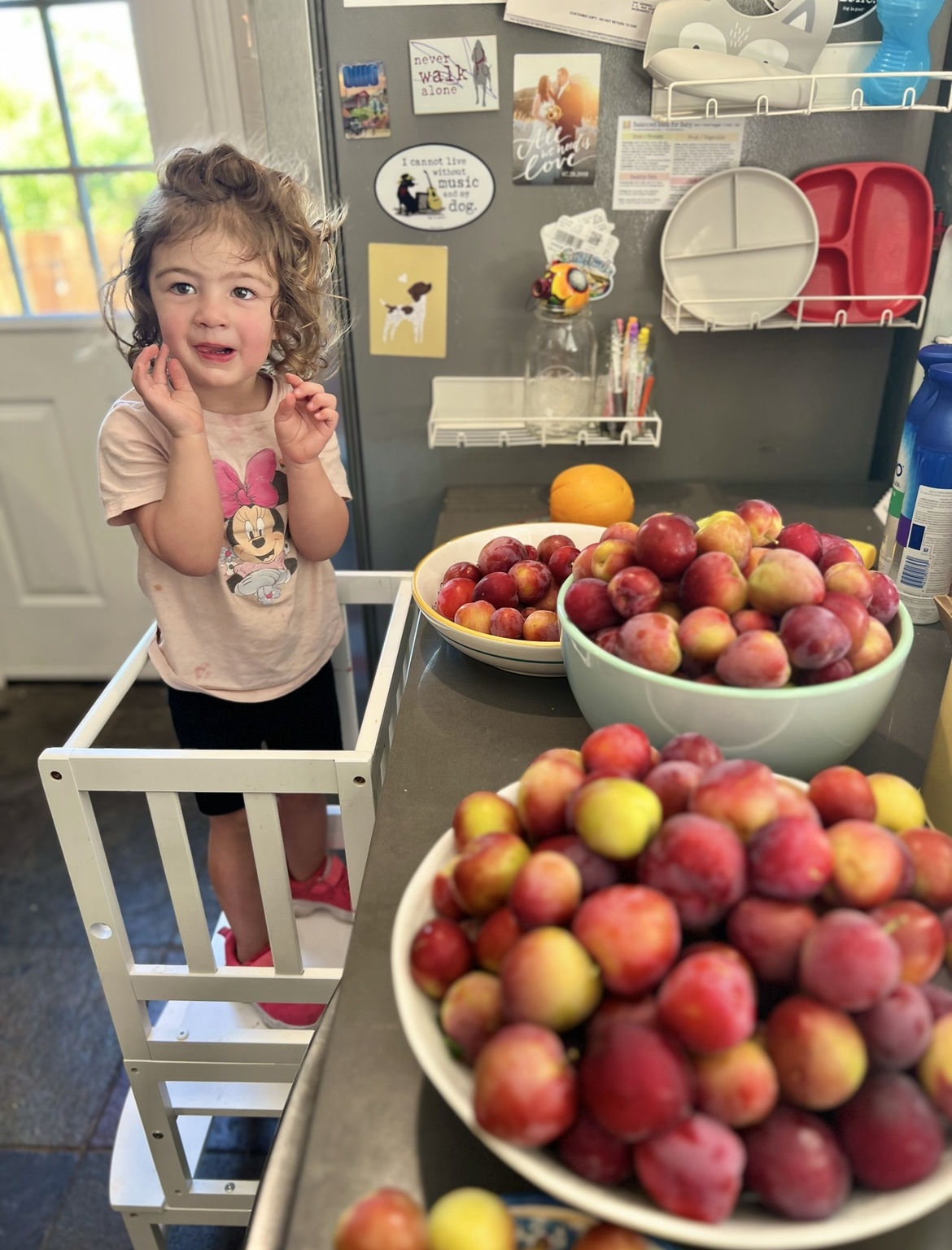 Lena in her kitchen tower surrounded by giant bowls of just-picked Santa Rosa plums
