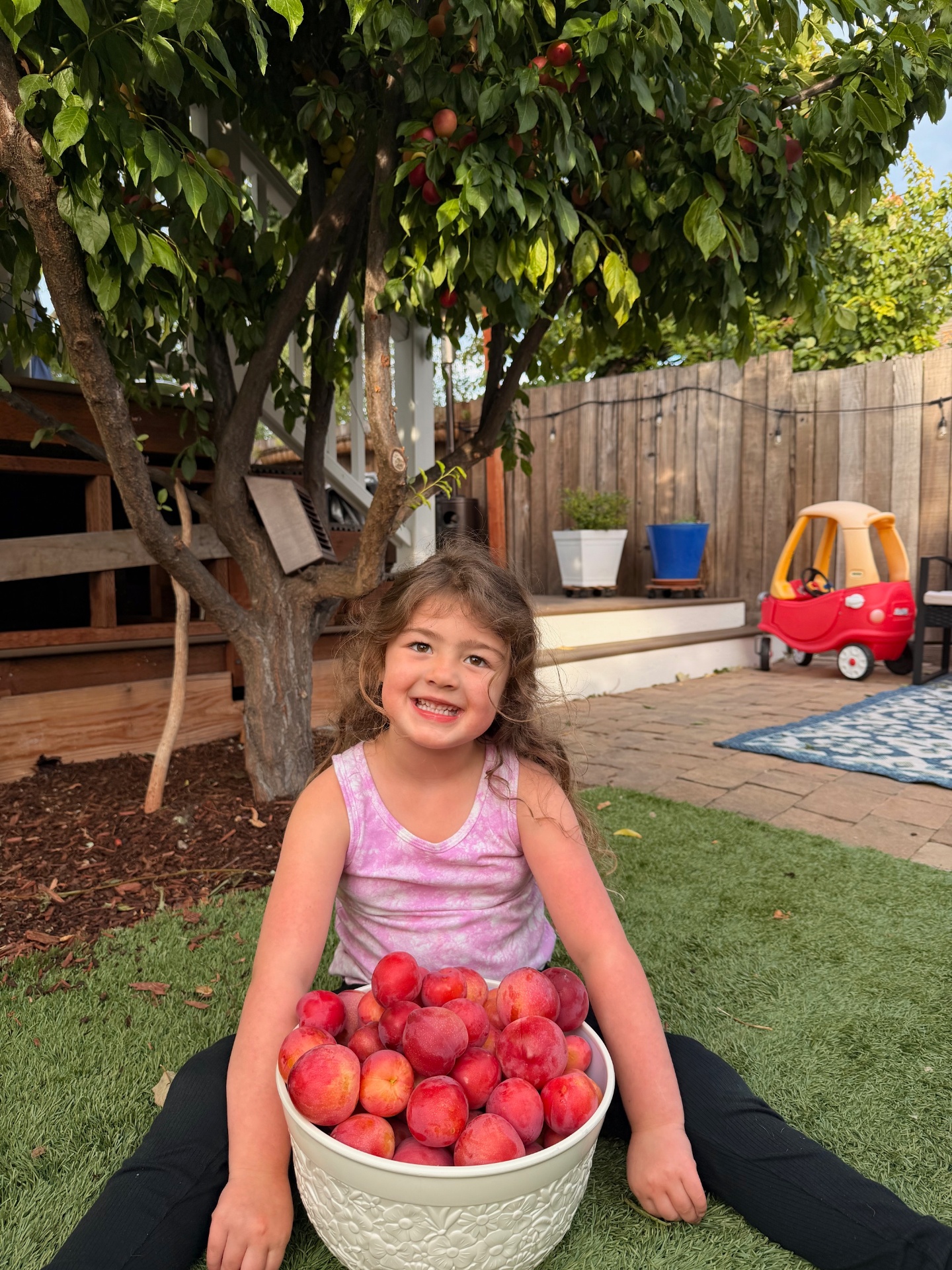 Daughter beaming with a bowl of fresh-picked plums beneath the Santa Rosa tree